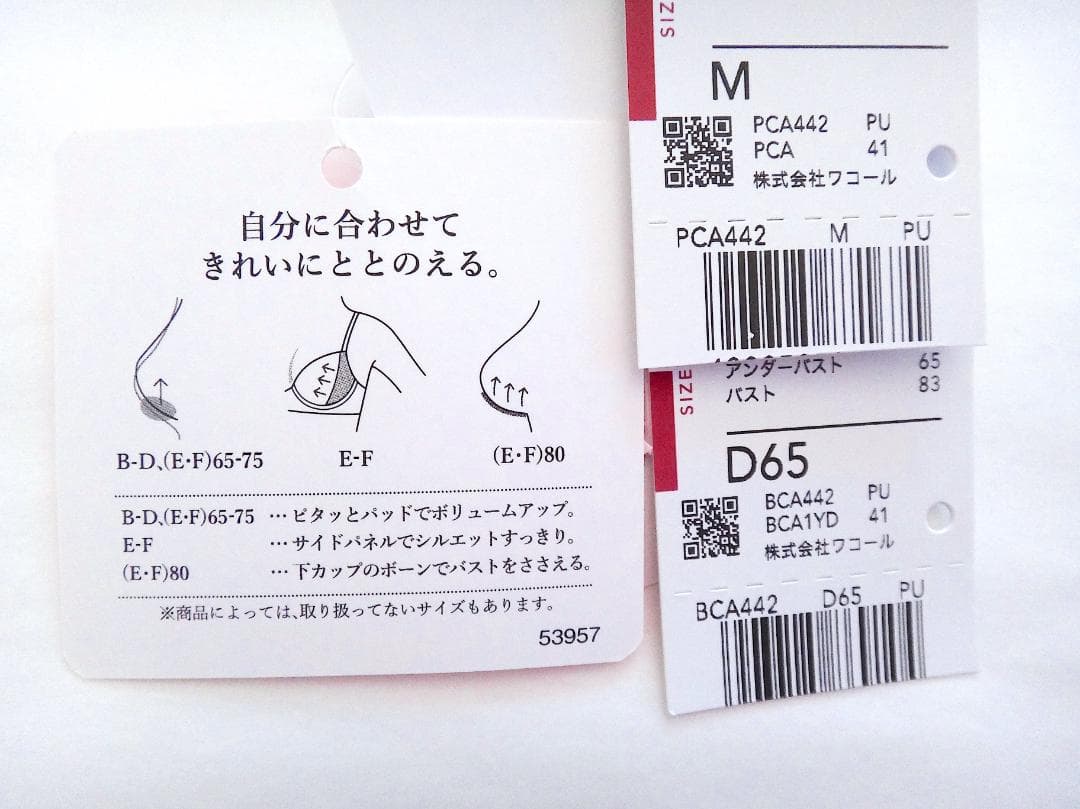 ワコール ルジェ　ブラジャーD65 & ショーツM　水色紫花柄紐パン