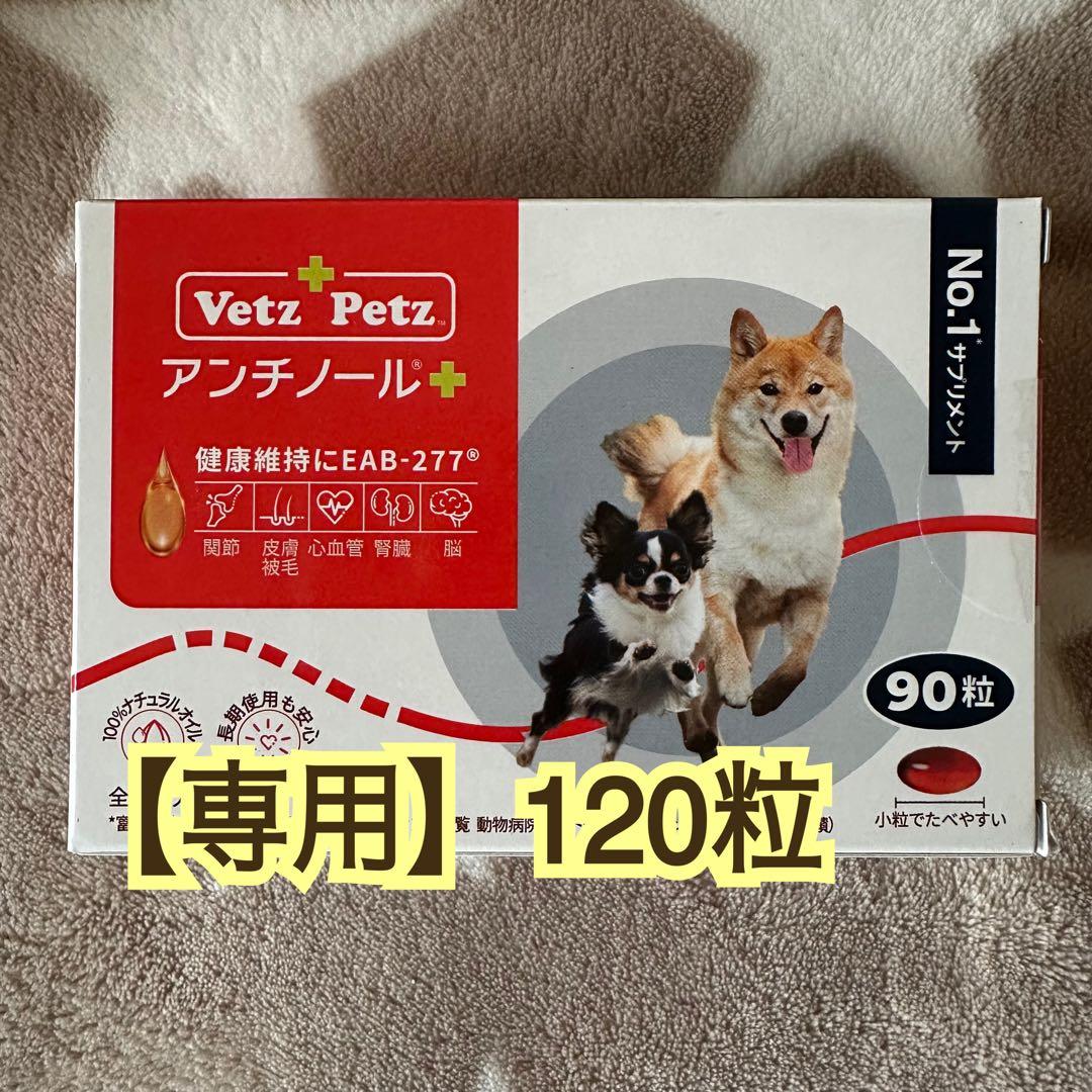 【かな 】アンチノールプラス 120粒