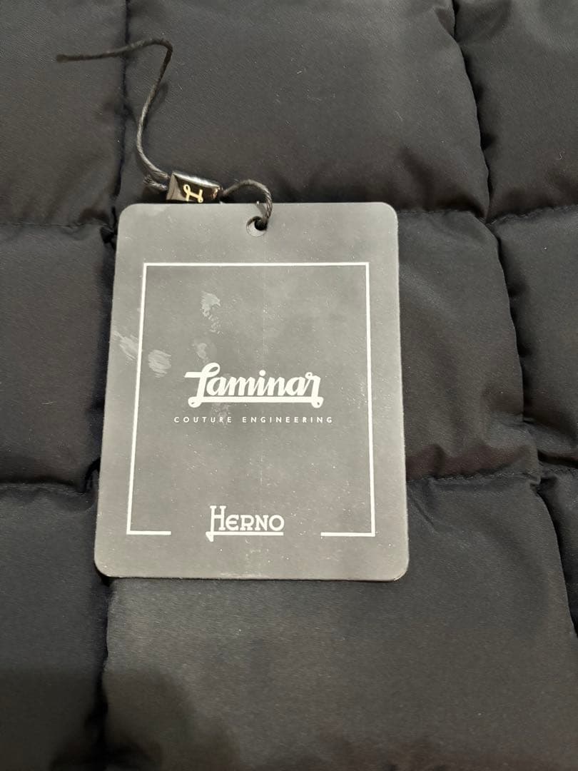 Herno Laminer GORE-TEXダウン　ブラック40 PI080DL
