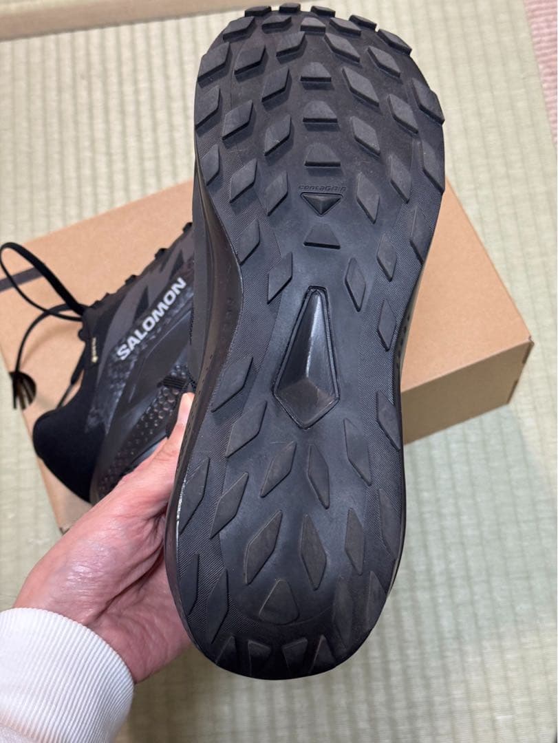 SALOMON(サロモン) ALPHA GLIDE GTX 29.0cm