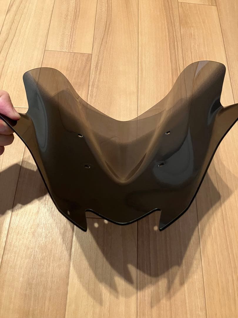 Z250 MRAスクリーン