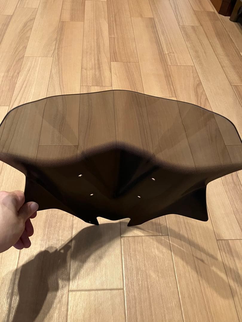 Z250 MRAスクリーン