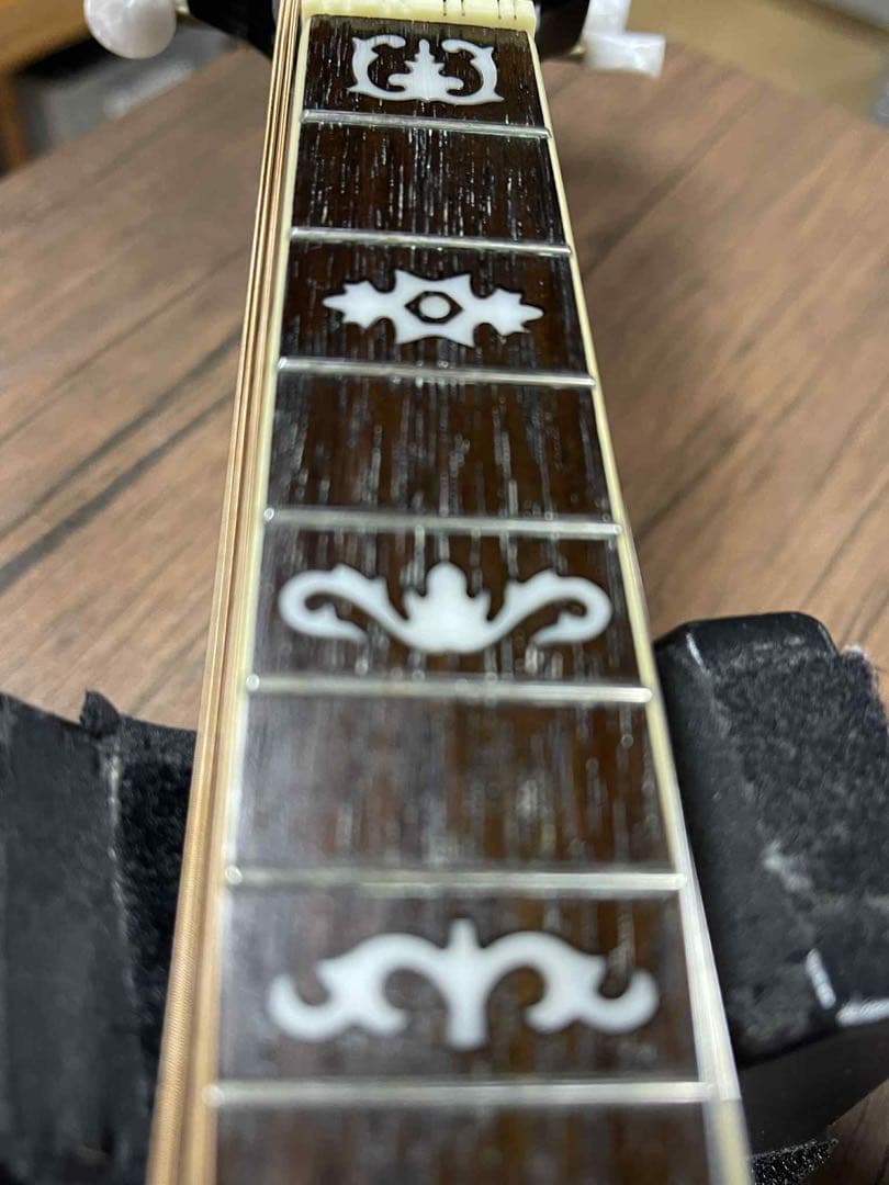 Rally ラリー エレクトリックフラットマンドリン&ハードケース