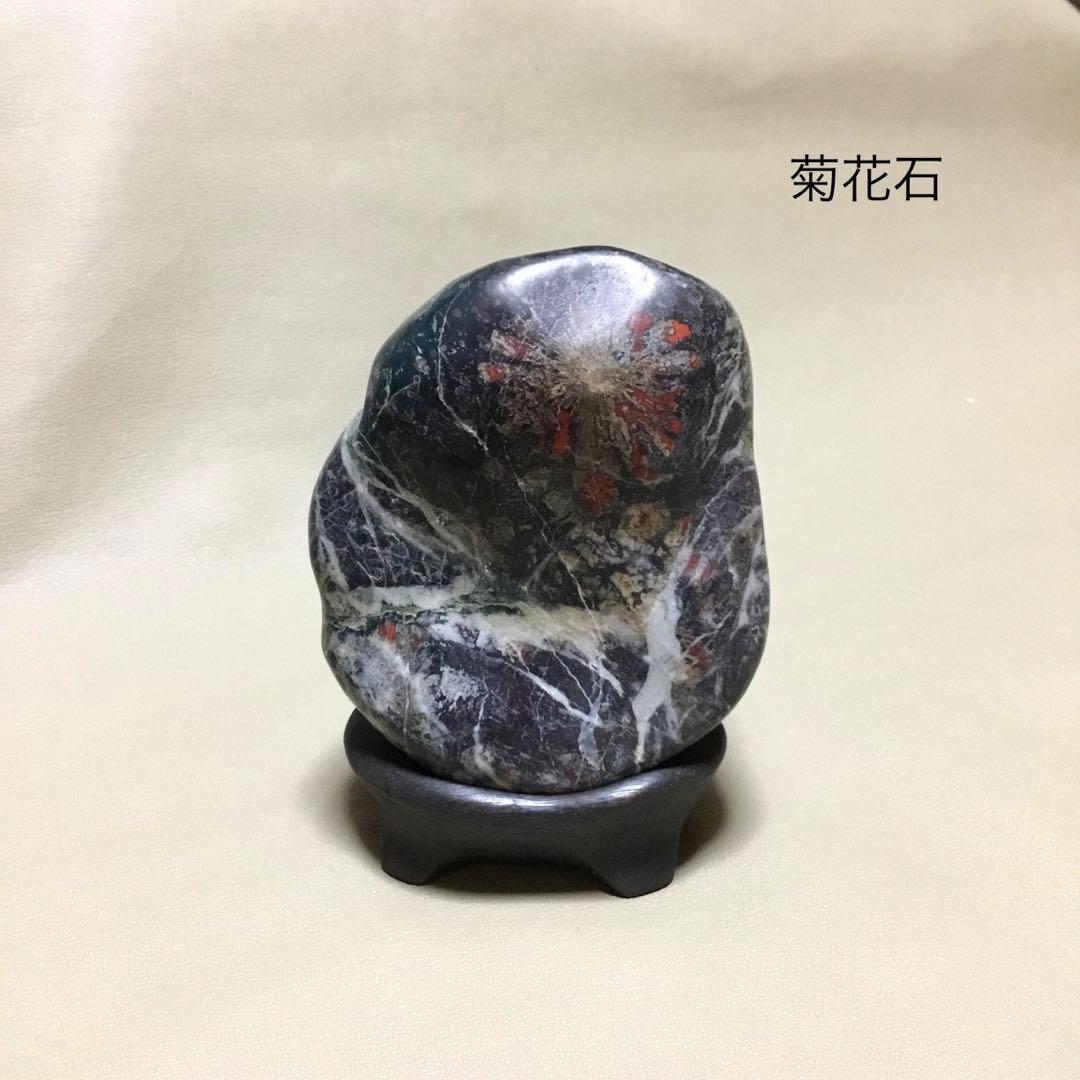 鑑賞石 菊花石 /飾石/盆石/水石/鉱石/自然石/置物