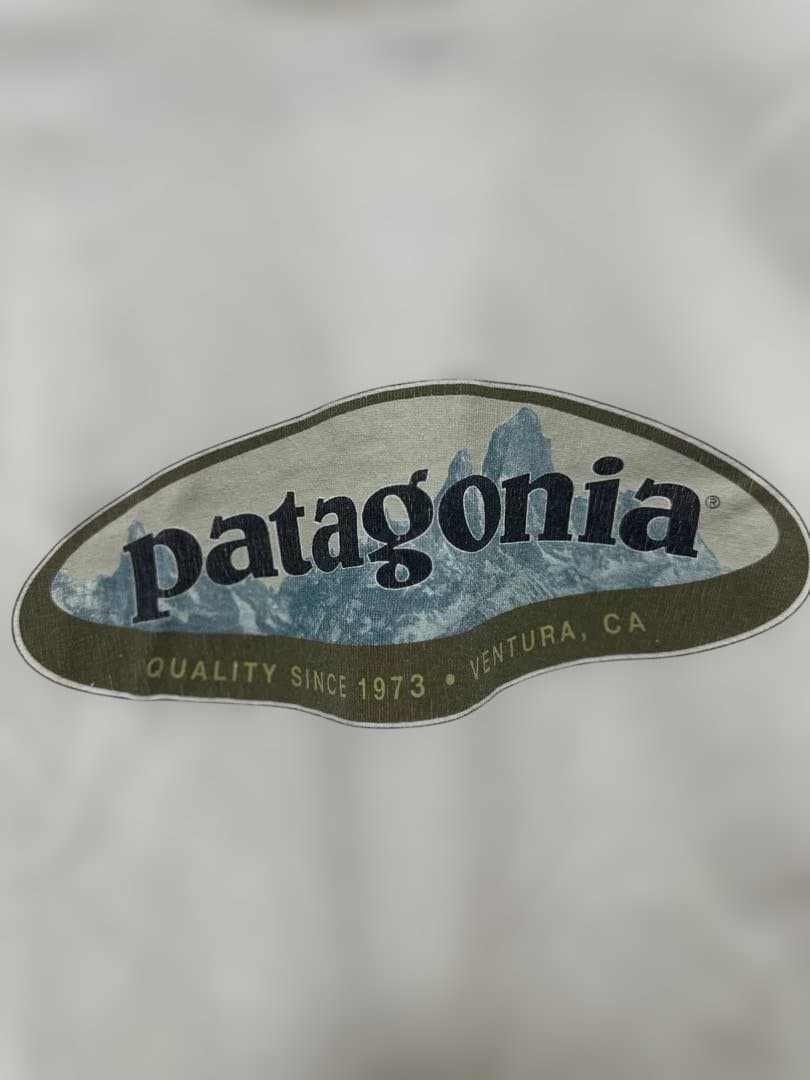 90s Patagonia Tシャツ M ホワイト