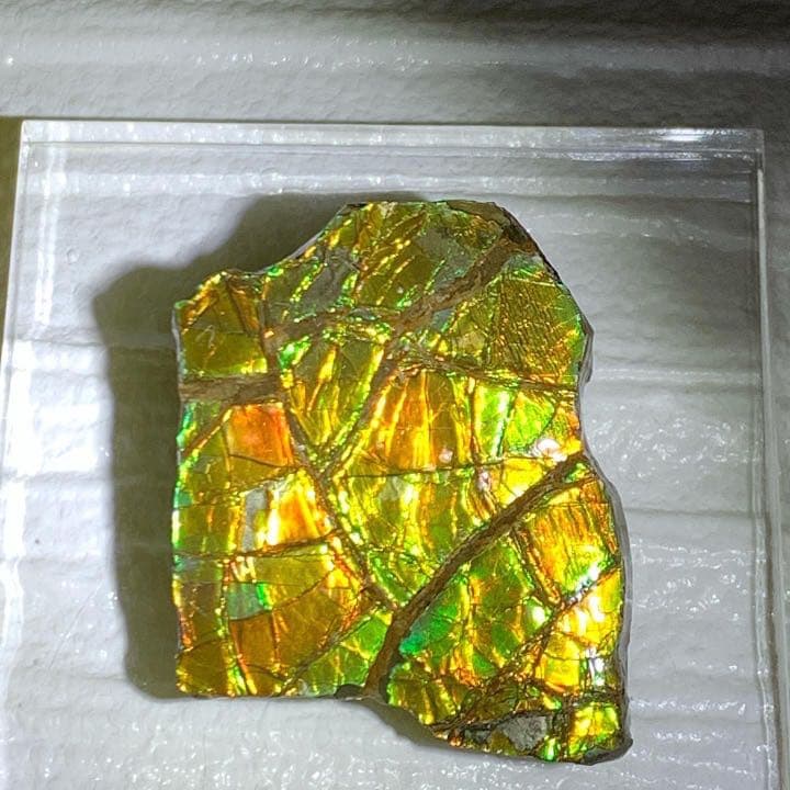 【アンモライト】貴重！美しいアンモライト