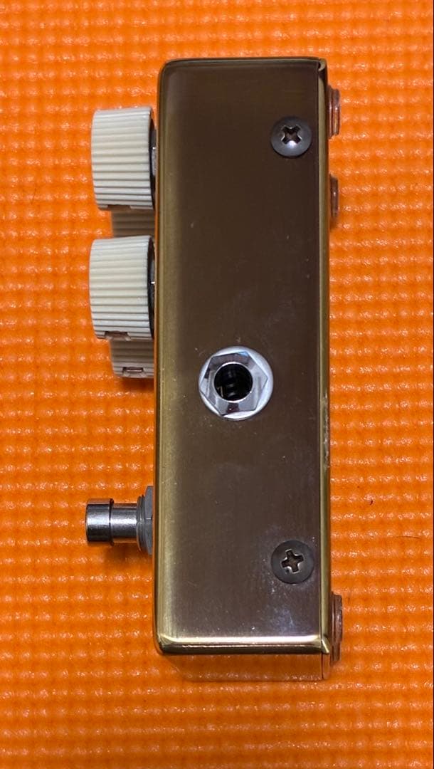 ギター VEMURAM JAN RAY