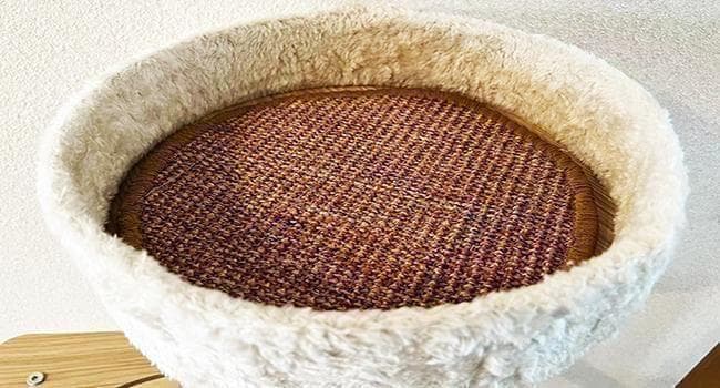 キャットタワー 木製 スリム 多頭飼い 据え置き 宇宙船 nkz06省スペース