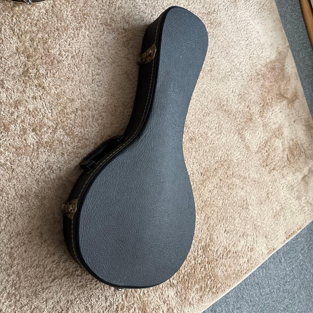 【Fender】 エレクトリック フラットマンドリン