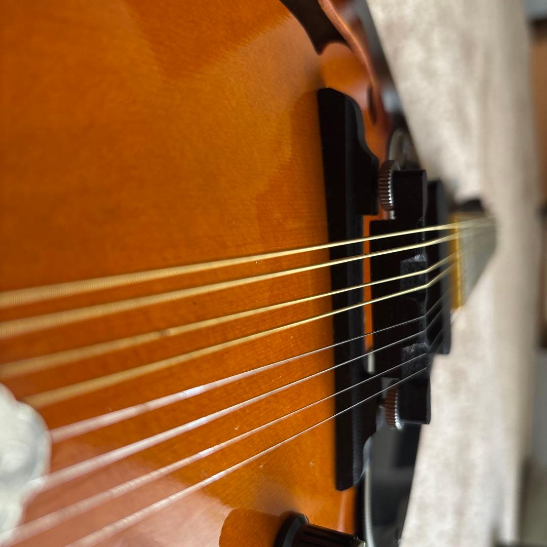 【Fender】 エレクトリック フラットマンドリン