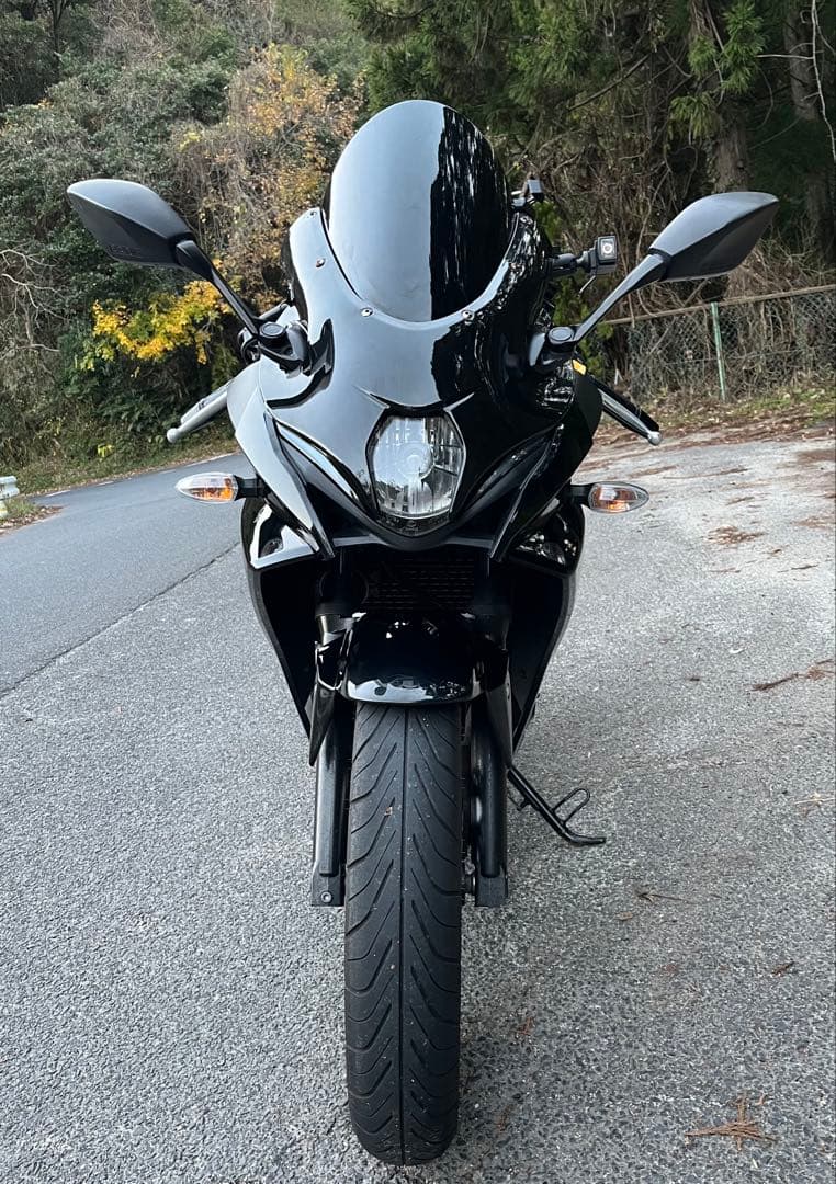 <レア物>GSX250R フロントマスク GSX-R1000R風 スズキ