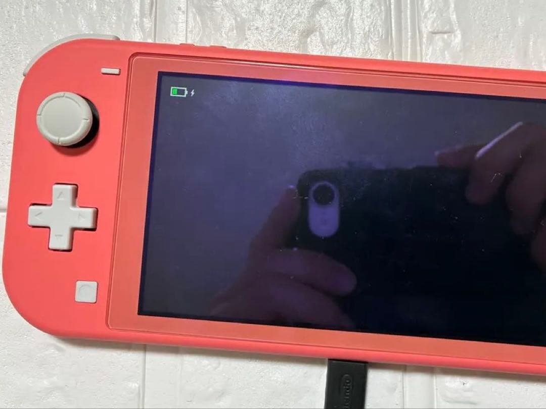 Nintendo Switch Lite スイッチ　ピンク 本体 充電器付き