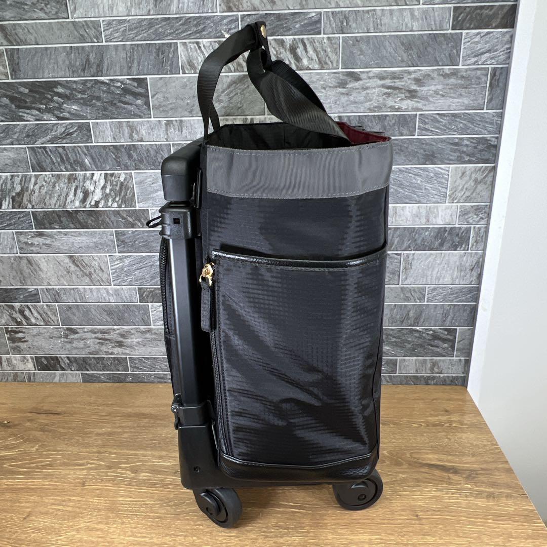 せつ　SWANY スワニー ウォーキングカート　4輪　ショッピングカート