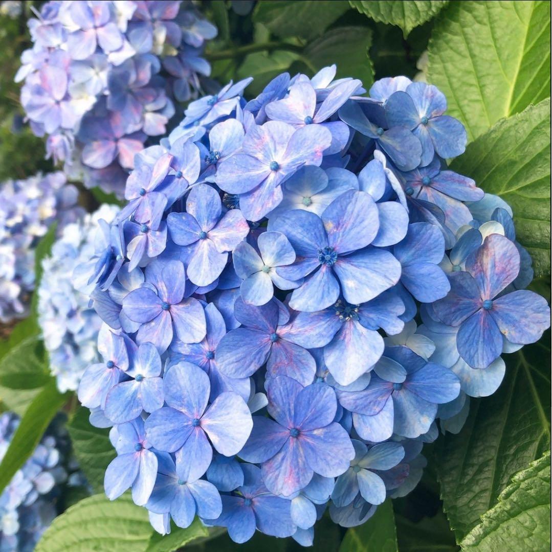 ランドクルーザー　エアロ