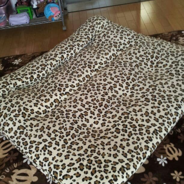 買う気のないイイね！禁止。ヒョウ柄ソファベット