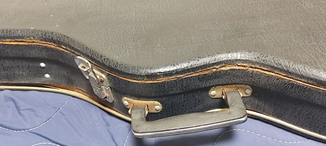 Greco EG380？ グネコロゴ