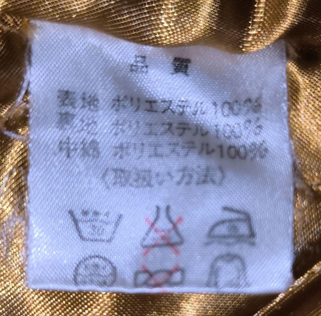 ADVANCE SKI RACING TEAM スタッフ スキーウェア 上下 M