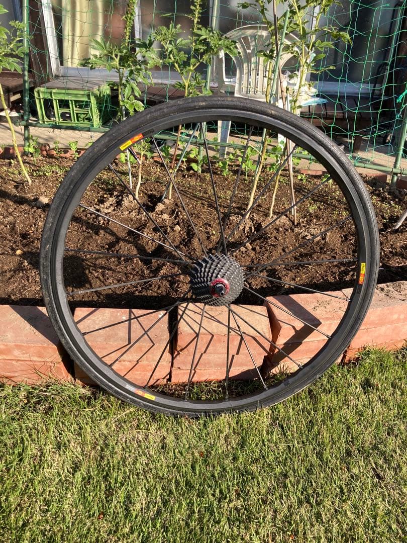 Mavic Ksyrium カーボンホイール チューブラー　スプロケ付き