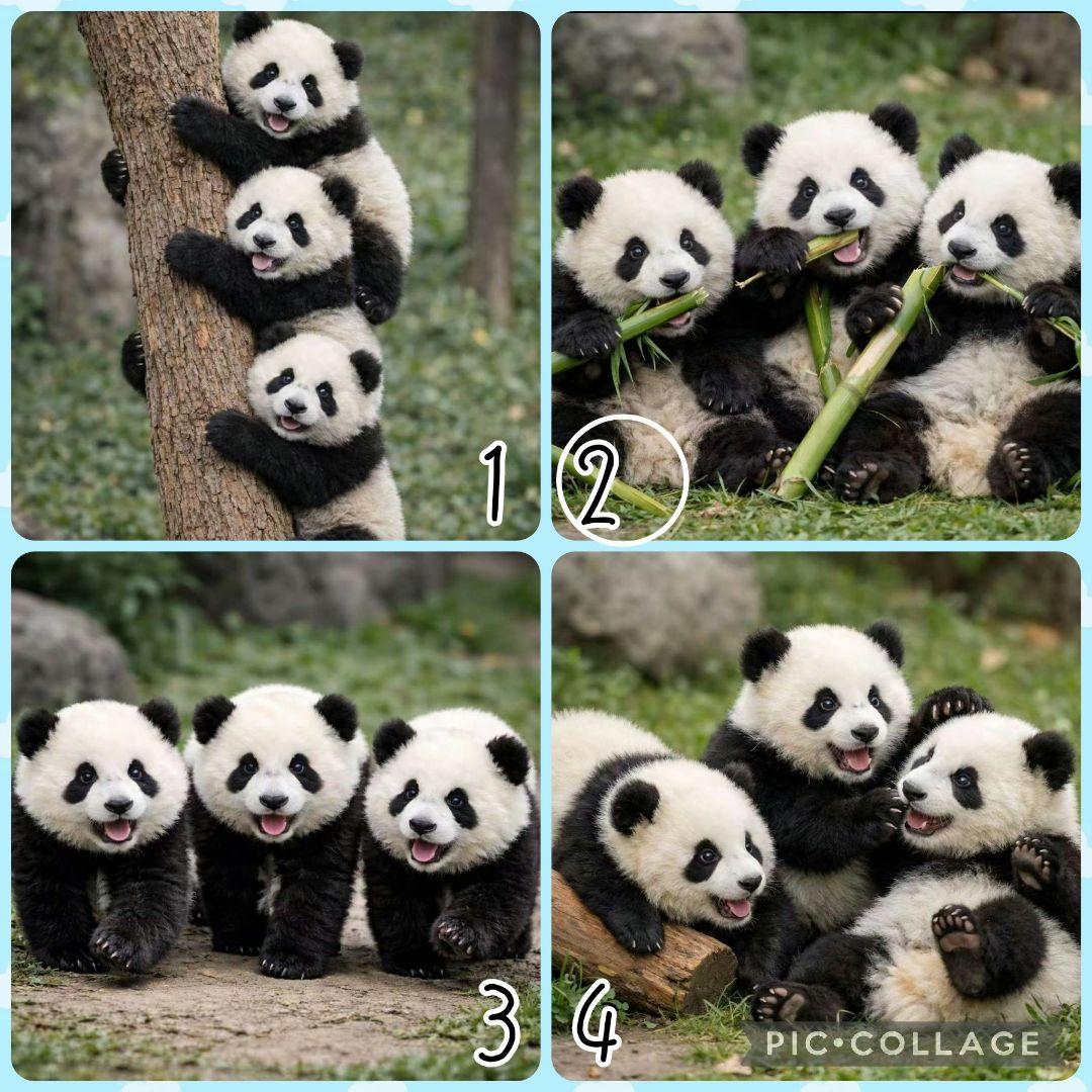 【1月】ゆうめる