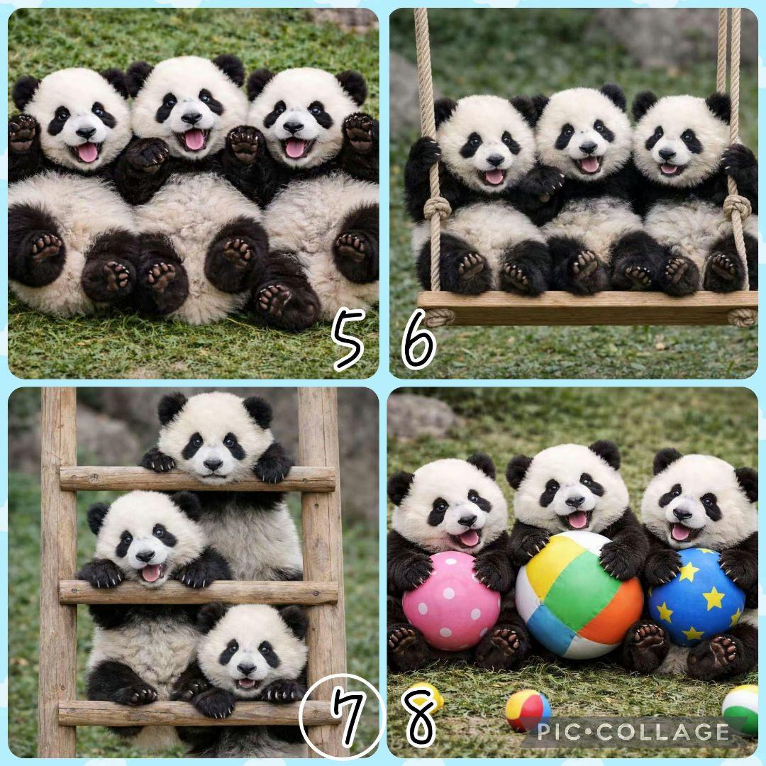 【1月】ゆうめる