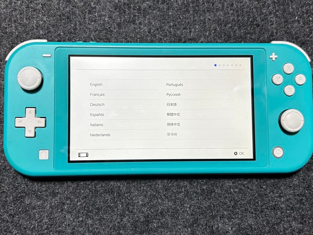 Nintendo Switch Light ターコイズ　本体&充電器