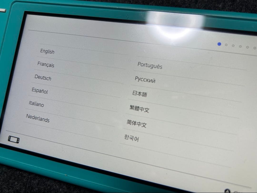 Nintendo Switch Light ターコイズ　本体&充電器