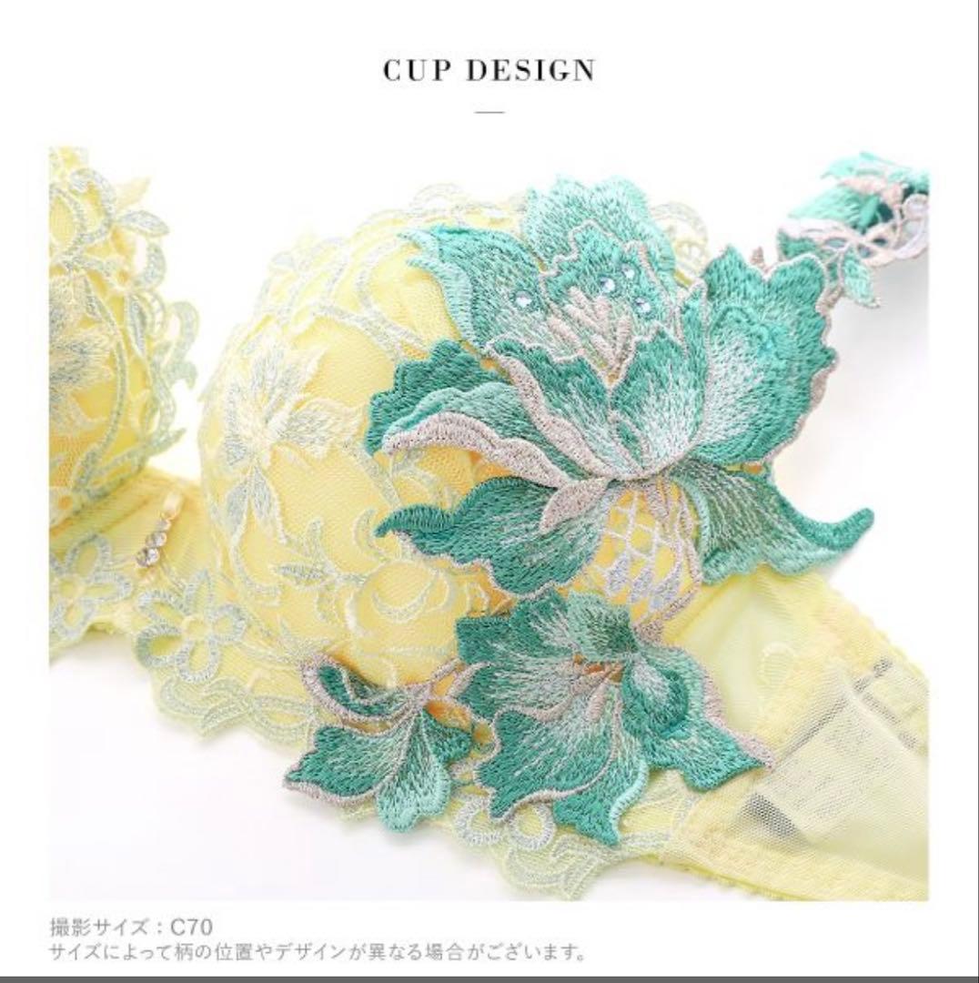 ワコール サルート ブラジャー F65