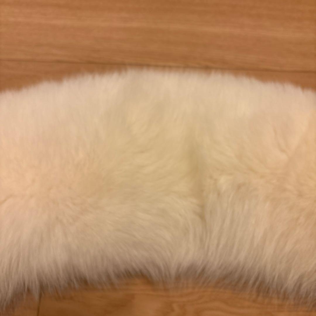 サガフォックス　成人式ショール　SAGAFOX