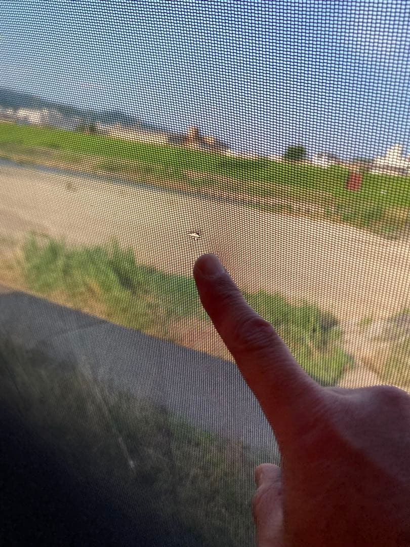 スノーピーク トルテュPro TP-770 リップストップモデル フルセット