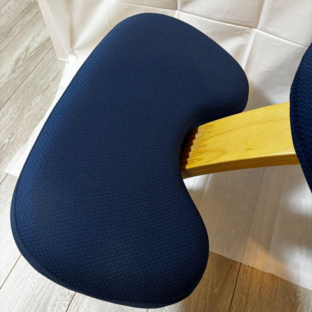 【美品】Balans Easy バランスイージー ネイビー 姿勢矯正チェア