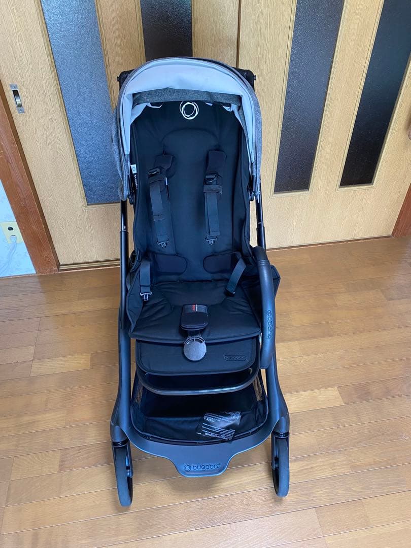 バガブードラゴンフライ