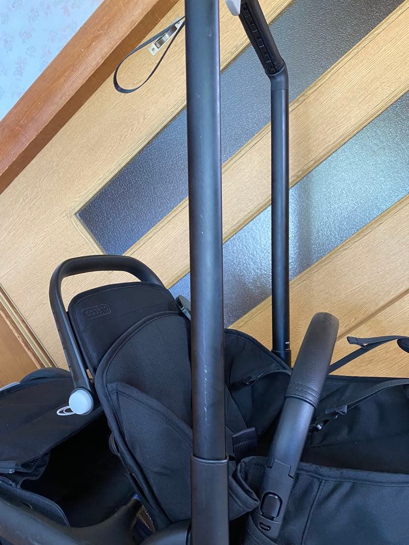 バガブードラゴンフライ