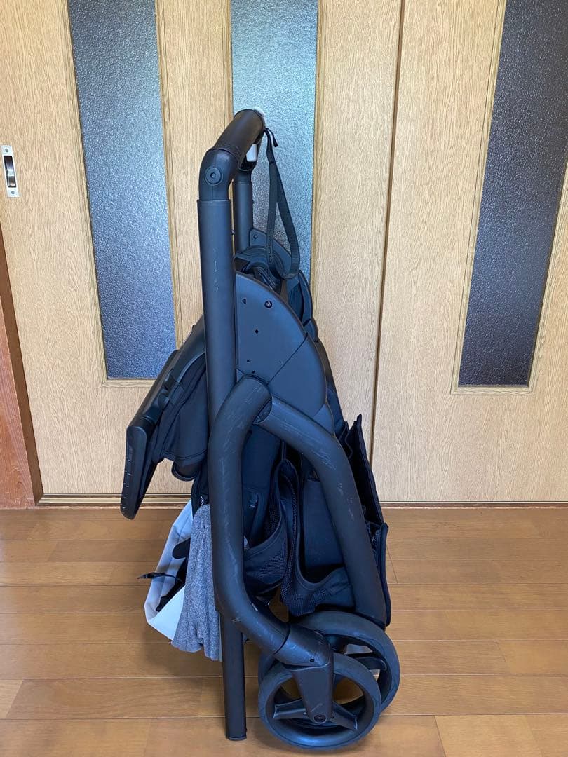 バガブードラゴンフライ