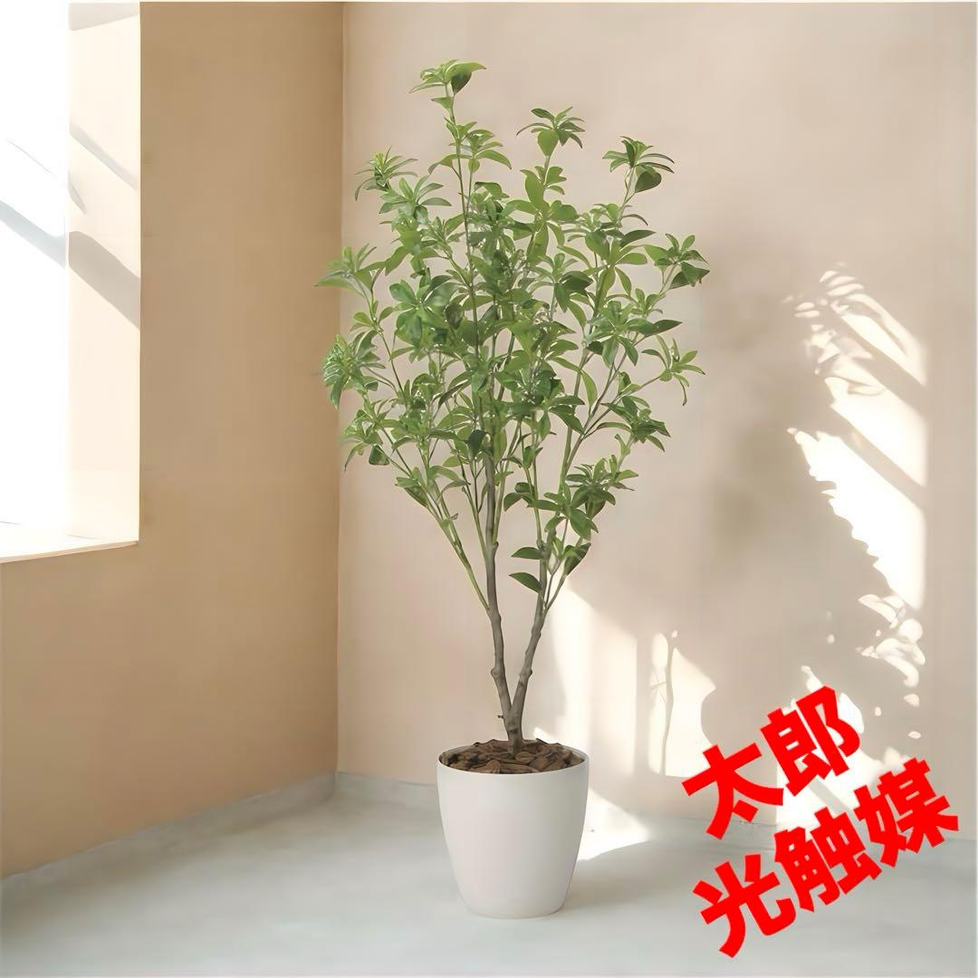 光触媒　観葉植物　ウォールグリーン　フェイクグリーン　フレッシュアセビ1.65