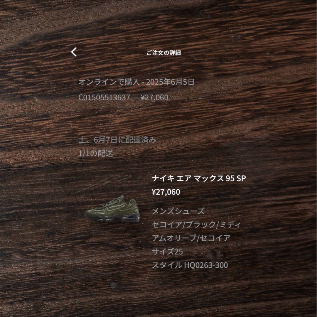 Worksout × Nike Air Max 95 箱擦れ　25cm