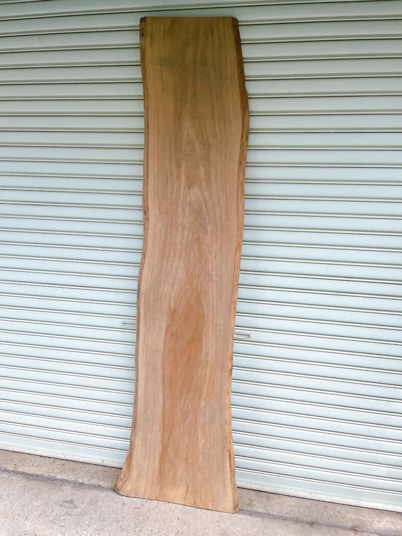 天然　楠木　木材　天板　無垢材　一枚板　テレビ台　ベンチ　カウンターテーブル