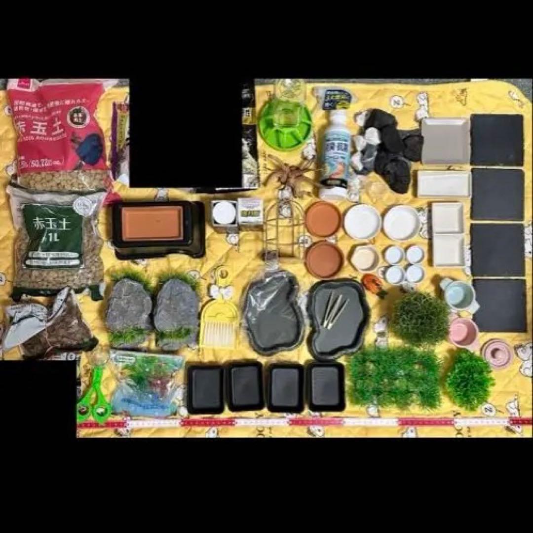 爬虫類・両生類用飼育セットまとめ売り