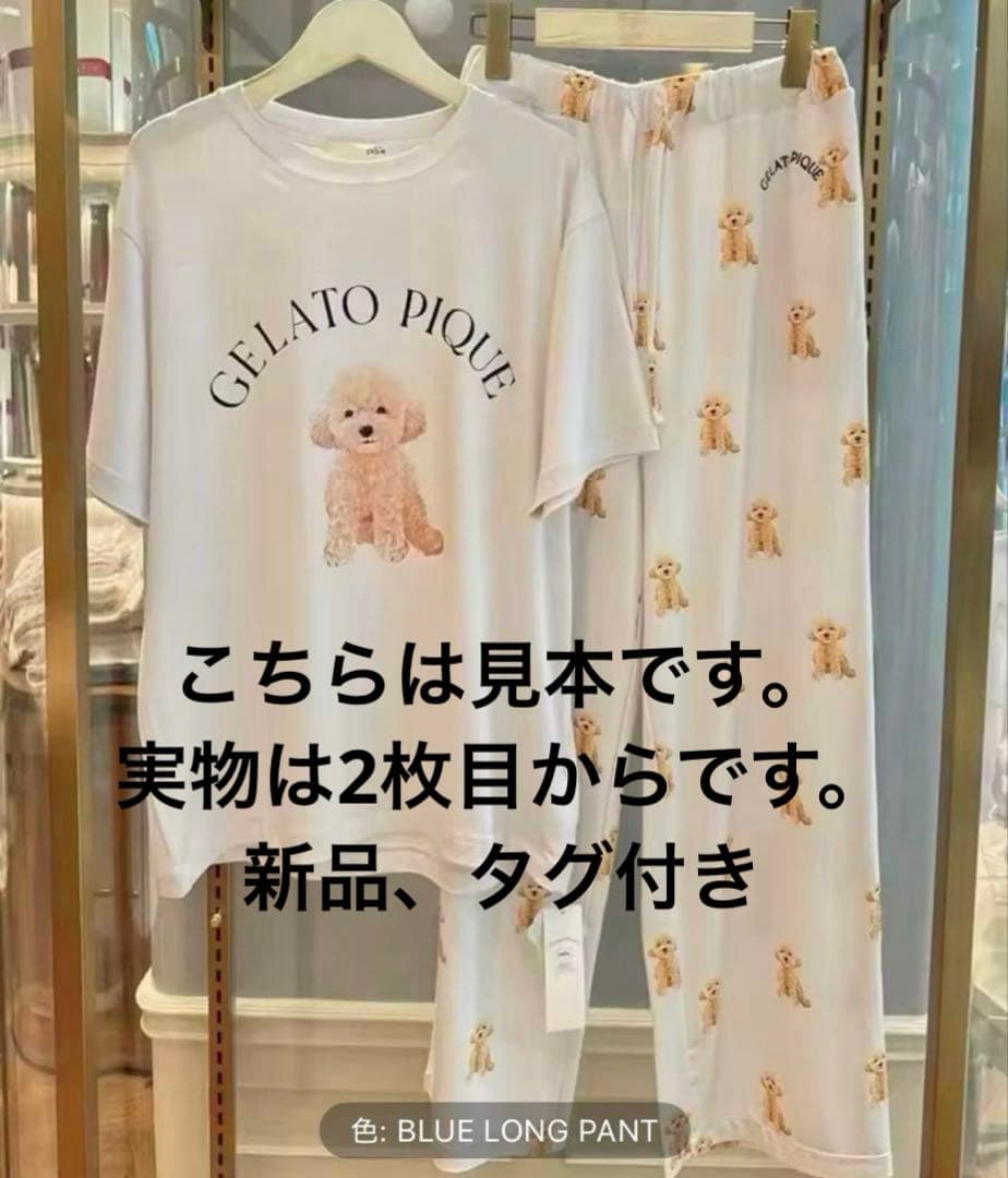 ジェラピケ　トイプードル　ルームウェア上下セット　未使用