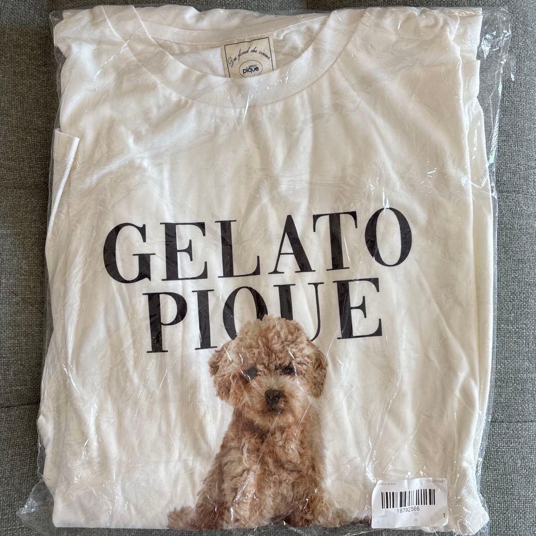 ジェラピケ　トイプードル　ルームウェア上下セット　未使用