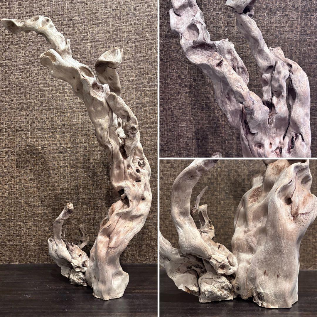流木　うねうね大サイズ　インテリア用67.5cm自立可
