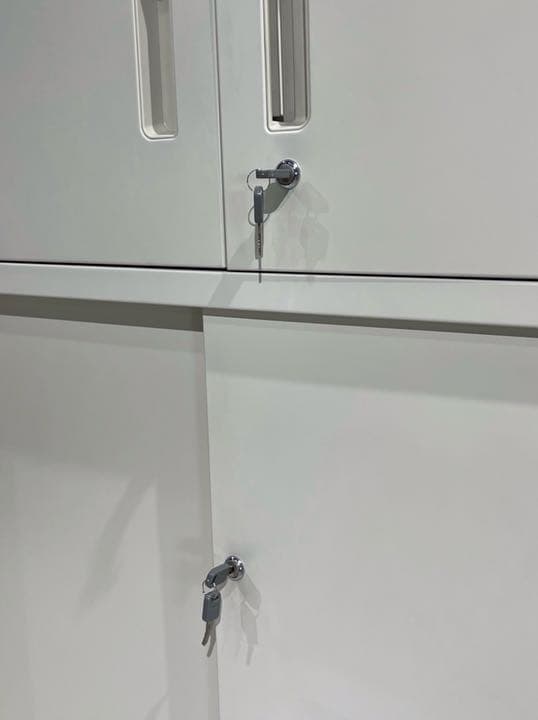 （123128-Z0004) キャビネット ライオン事務器 ホワイト