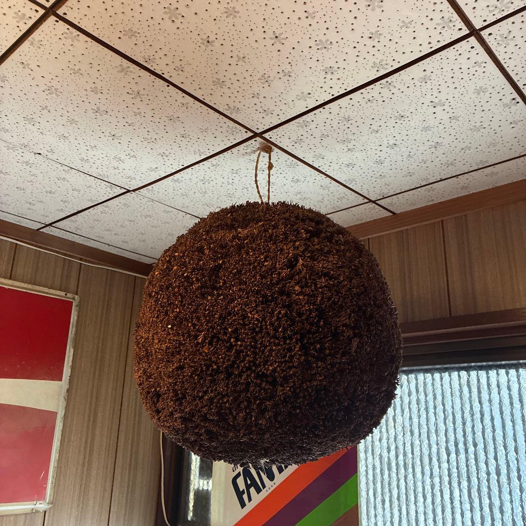 酒蔵の古い杉玉(酒林)