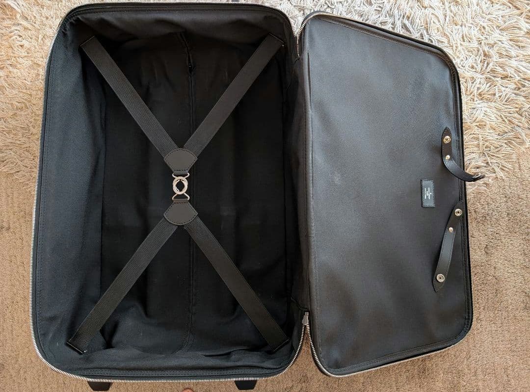 【セール】ルイヴィトン　タイガ ペガス 55 リペア済み レザー スーツケース