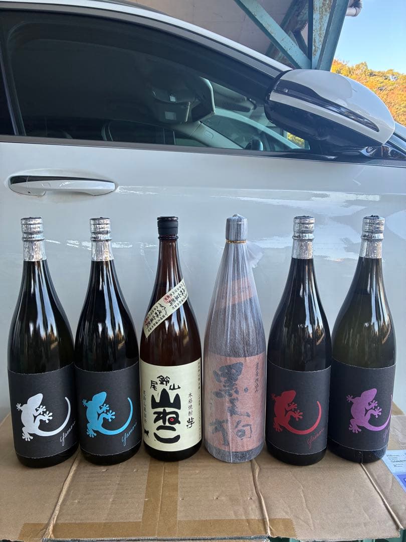 ヤモリ白　青　山ねこ　黒天狗　赤紫