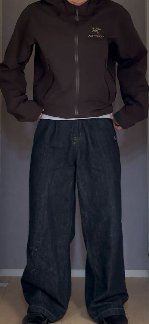 お*☆様 希少限定 田中シェン着ARC'TERYX Beta AR S bitt