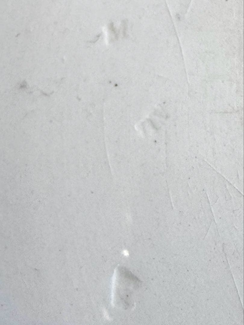 クレイユモントロー オクトゴナル　フランスアンティーク②