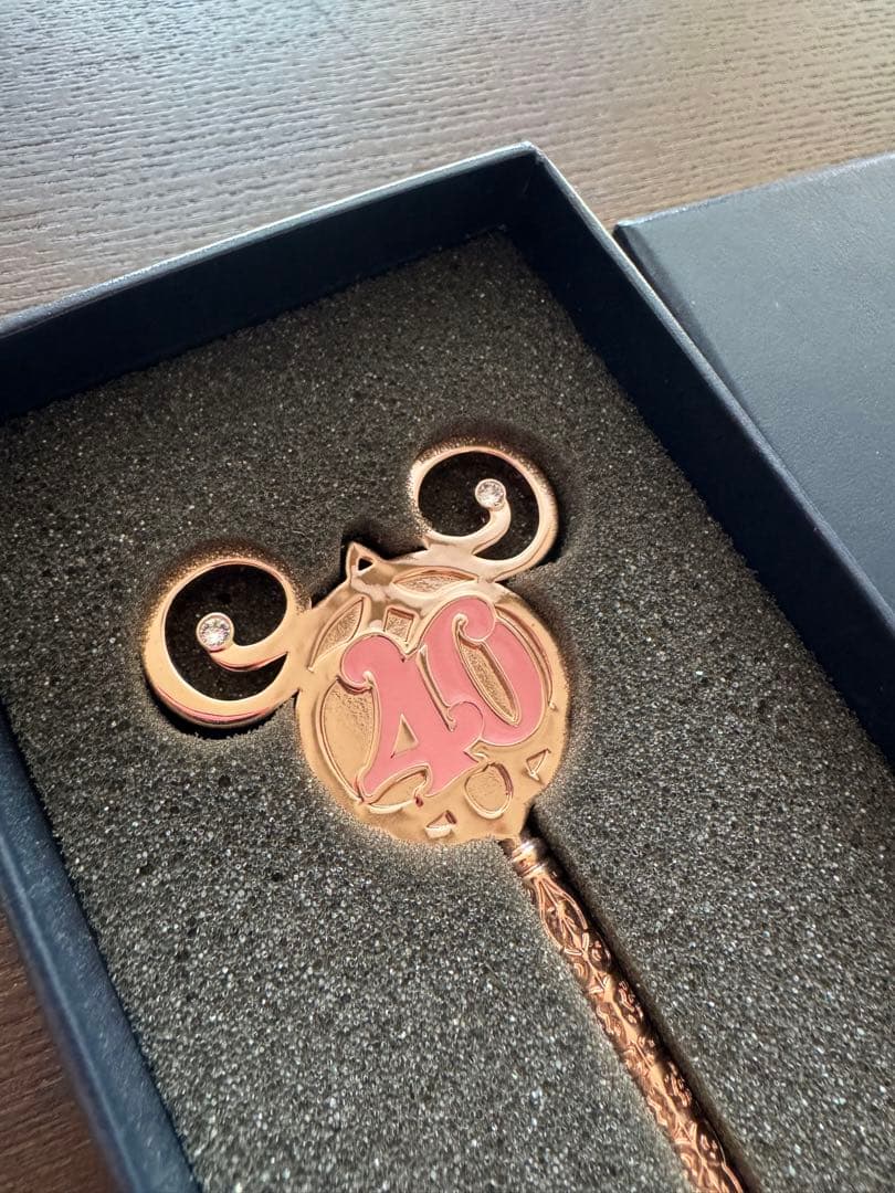 arribas ディズニーランド40周年限定　鍵　キー