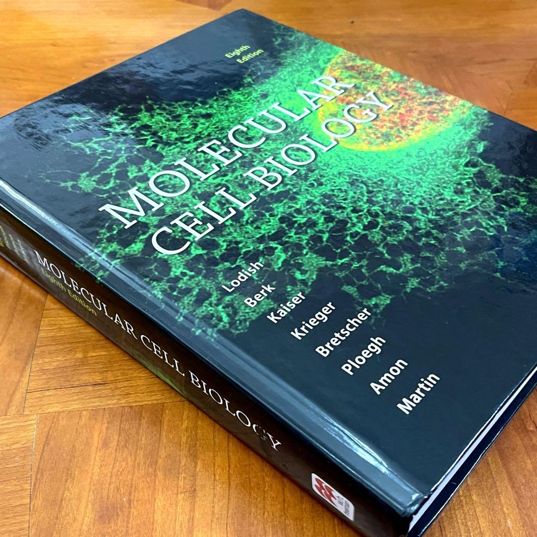 美品【送料込】Molecular Cell Biology 英語版 定価 5万円