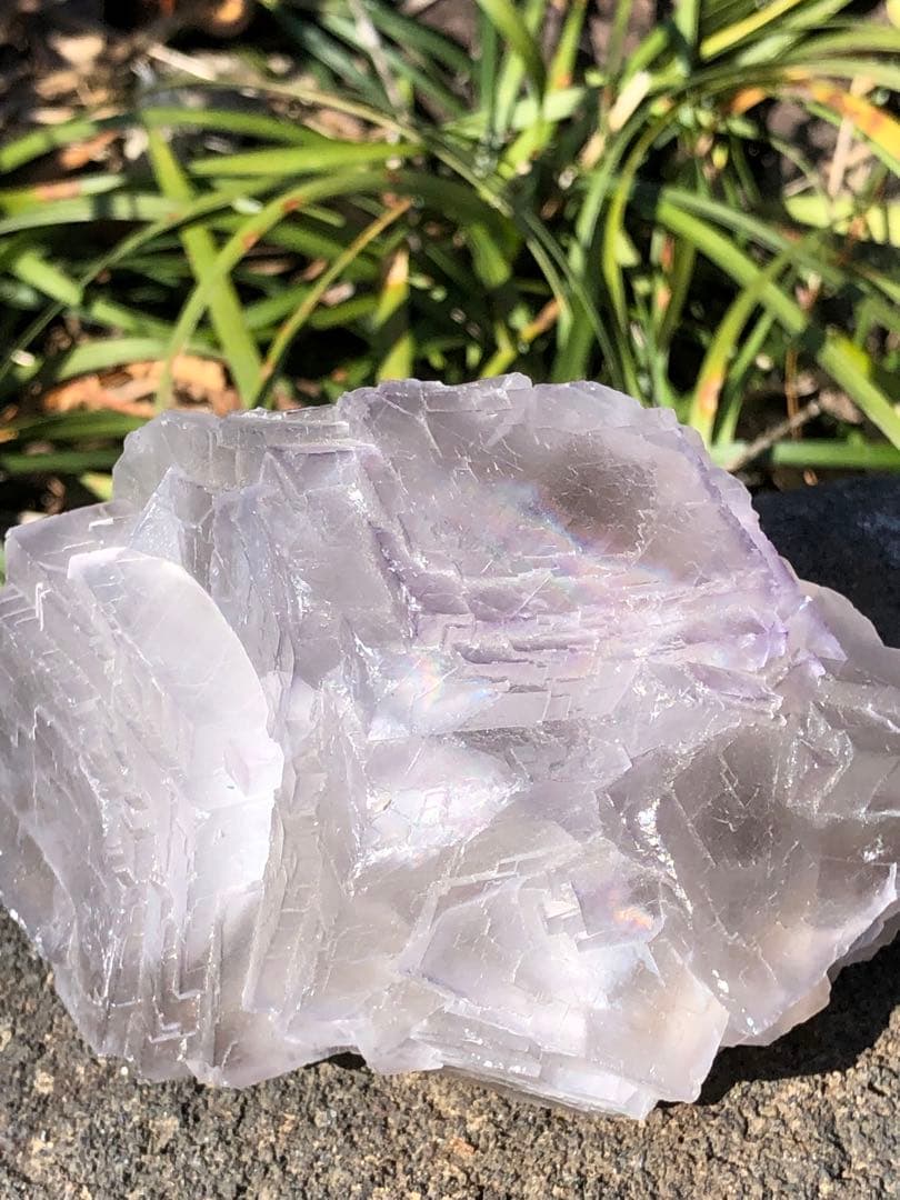 323g 極みの逸品　虹入り　超レア 大きい　存在感抜群　フローライト