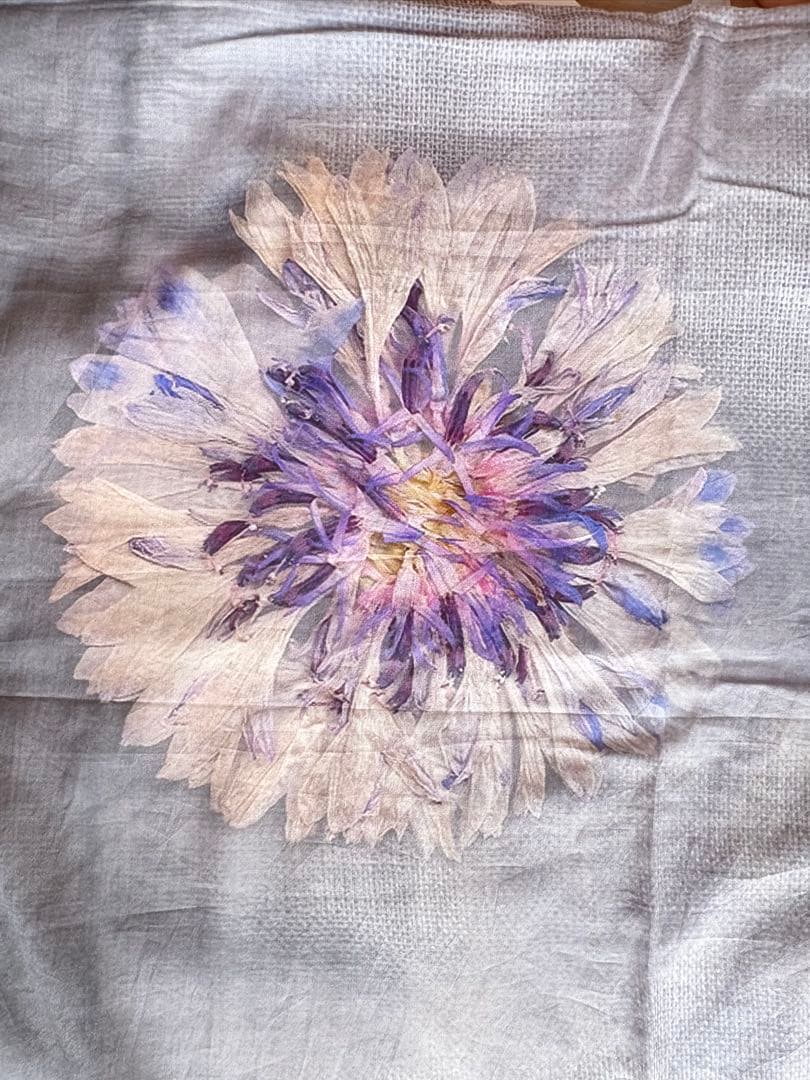 Colomba leddi コロンバレッディ　カーテン